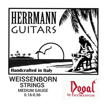 Preview van Dogal WG163A Weissenborn Strings 016/056 Medium