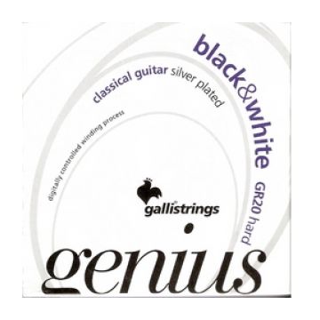 Preview van Galli GR20 Genius Hard Tension Black trebles