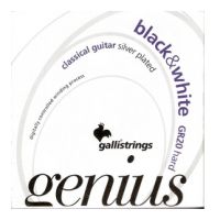 Thumbnail van Galli GR20 Genius Hard Tension Black trebles