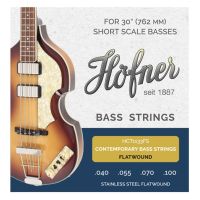 Thumbnail van Hofner HCT1133RS  Contemporary Stainless rounds
