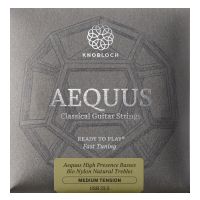 Thumbnail van Knobloch USB 33.5 Aequus Silver Enhanced BIO Nylon Full Set Medium Tension 33.5