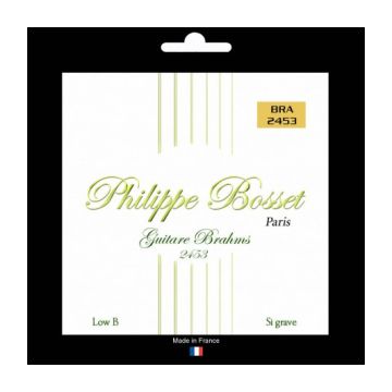 Preview van Philippe Bosset PBBRA2453 8 strings Brahms guitar set clear nylon Low B