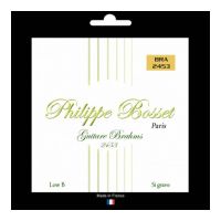 Thumbnail van Philippe Bosset PBBRA2453 8 strings Brahms guitar set clear nylon Low B