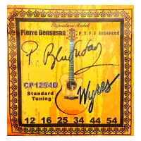 Thumbnail van Wyres CP1254B Coated Phosphor bronze Pierre Bensusan Standard tuning